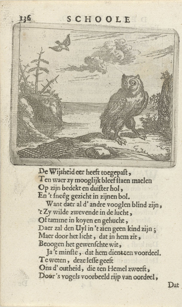 Detail of Owl in an open landscape by Arnold Houbraken