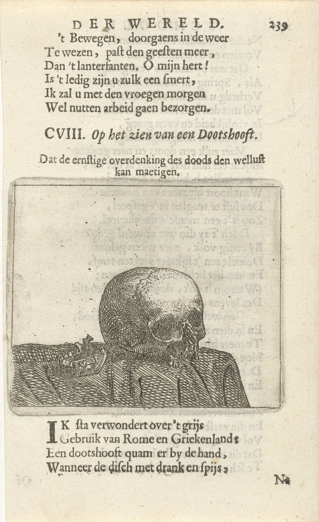 Detail of Squirrel on a table by Arnold Houbraken