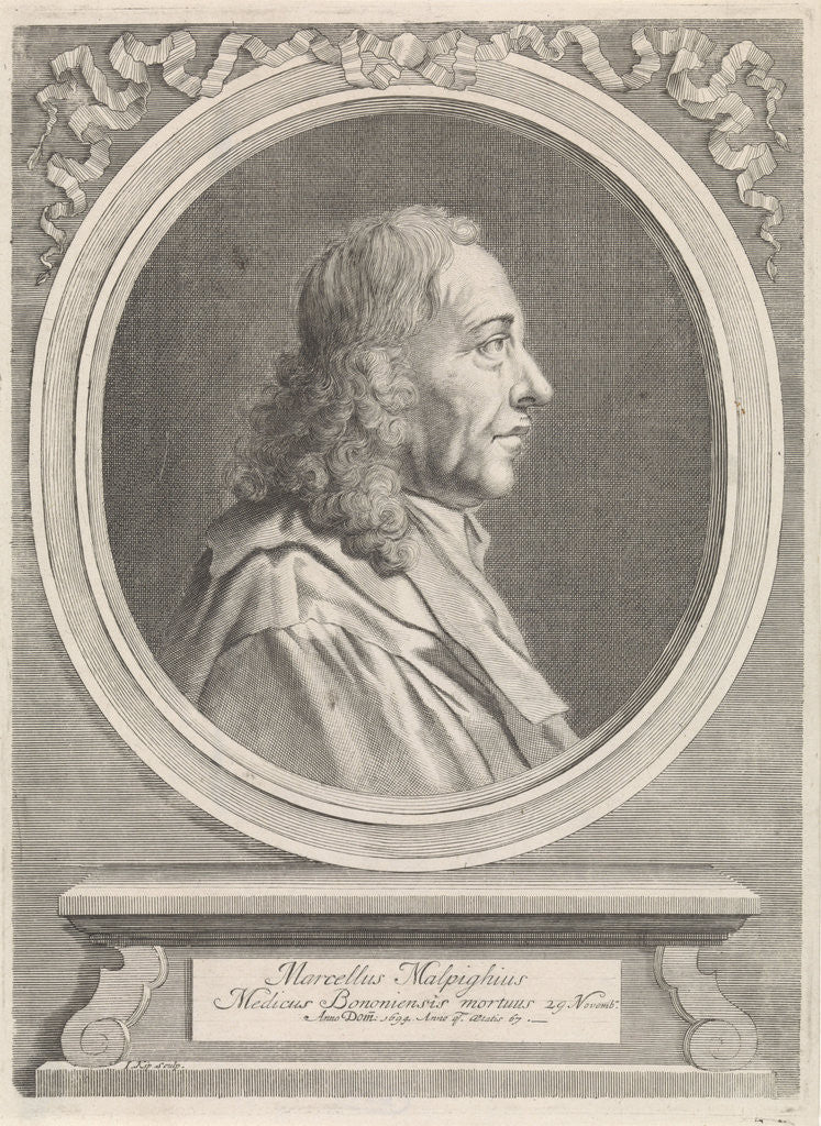Detail of Portrait of Marcello Malpighi by Johannes Kip