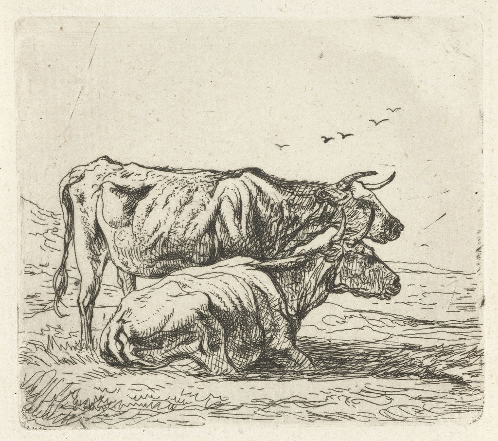 Detail of Two cows by Aelbert Cuyp