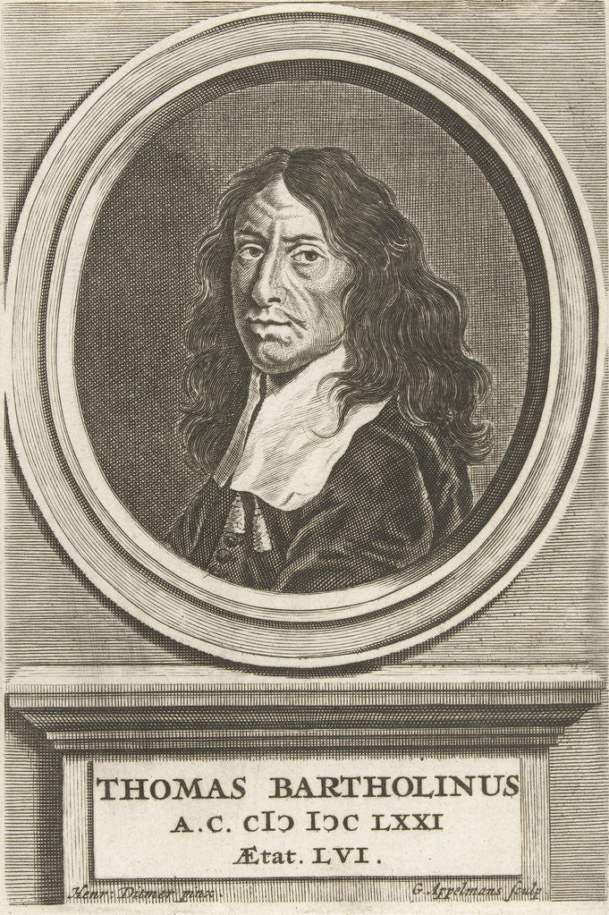 Detail of Portrait of Thomas Bartholinus at age of 61 years by Henrich Dittmers