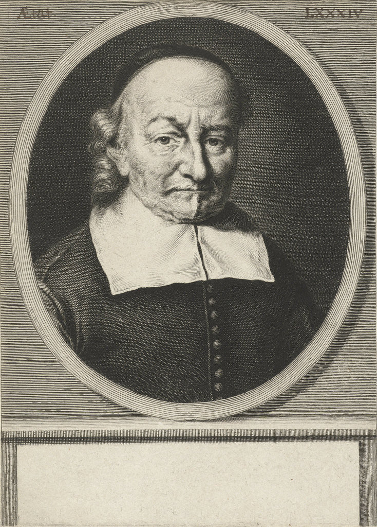 Detail of Portrait of Joost van den Vondel at the age of 84 by Hendrik Bary