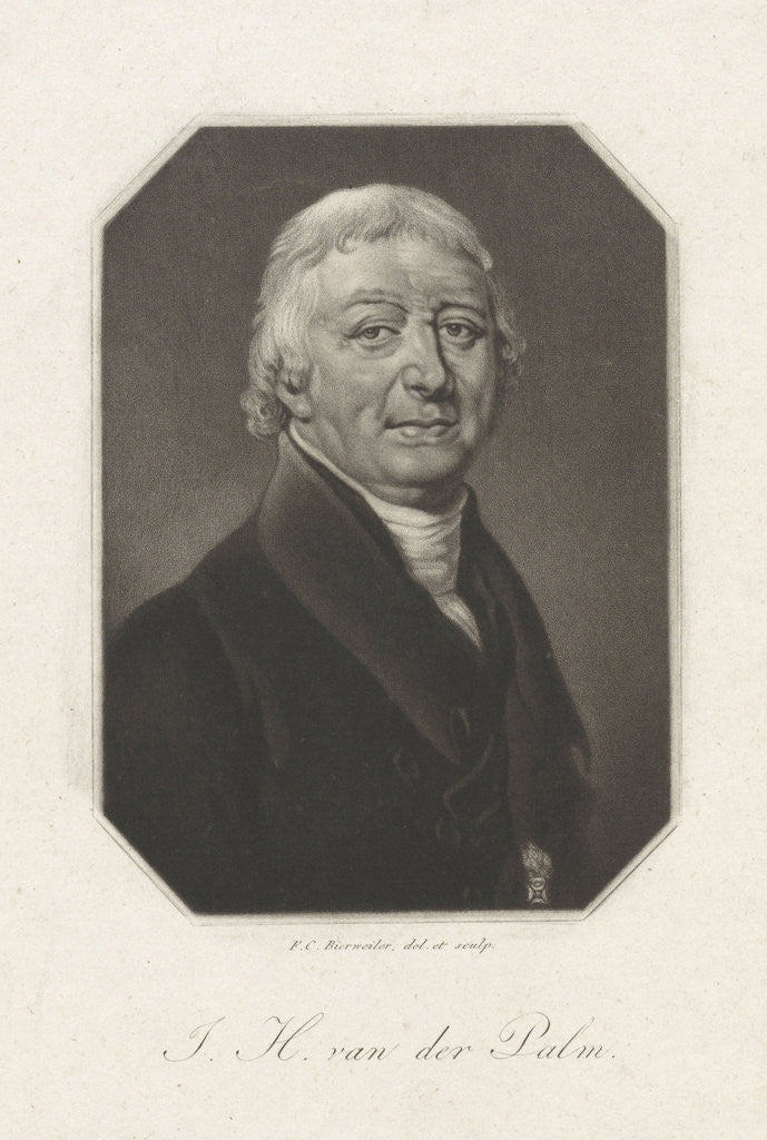 Detail of Portrait of Johannes Hendricus van der Palm by C. Schaares