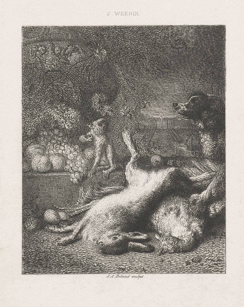 Detail of A monkey and a dog and fruits by Johannes Arnoldus Boland