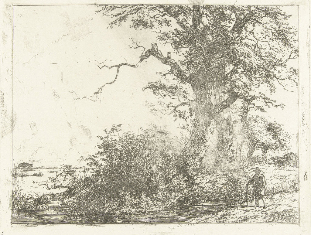 Detail of Landscape with oaks and man near the water by Albertus Brondgeest