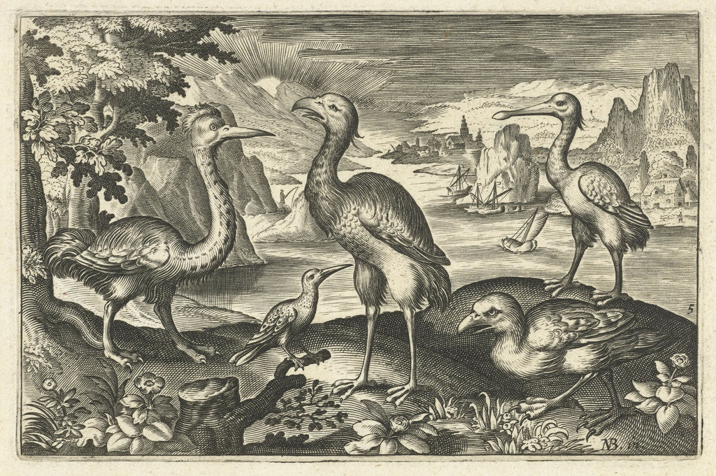 Detail of Five birds including spoonbill by Claes Jansz. Visscher II