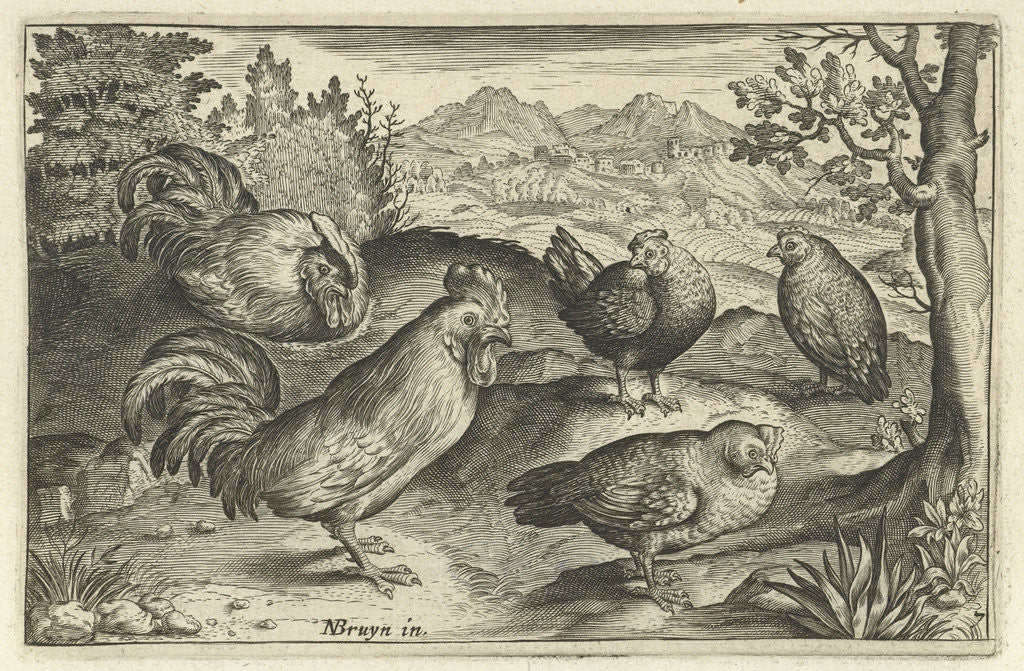 Detail of Three hens and two roosters by Claes Jansz. Visscher II