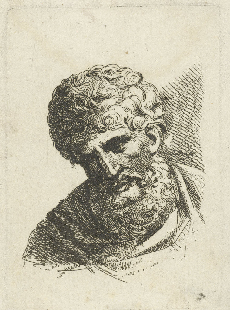 Detail of Bust of a man with curly hair and beard by Anonymous