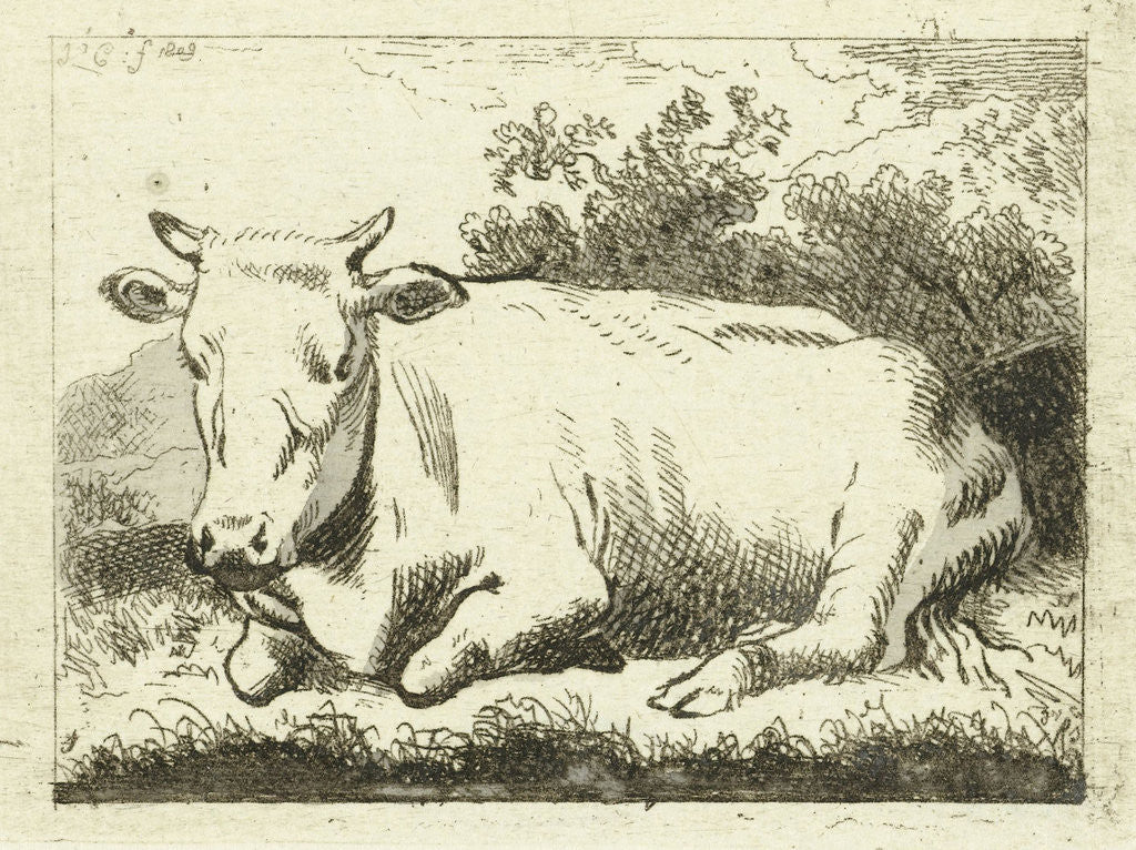 Detail of Lying cow by Johannes van Cuylenburgh