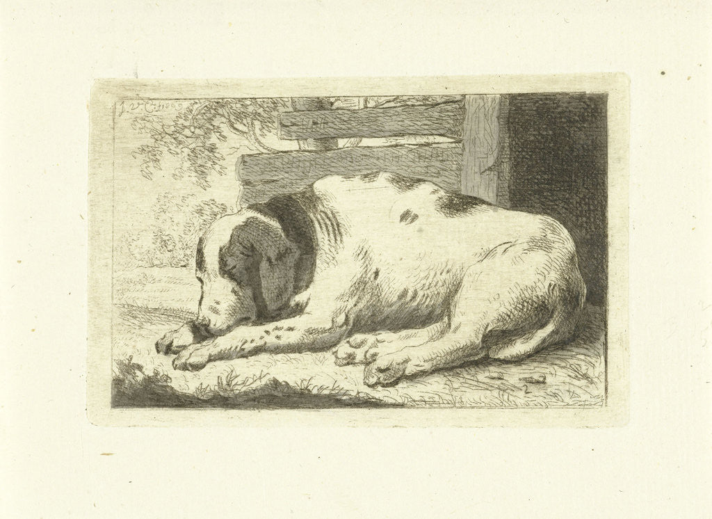 Detail of Sleeping dog by Johannes van Cuylenburgh