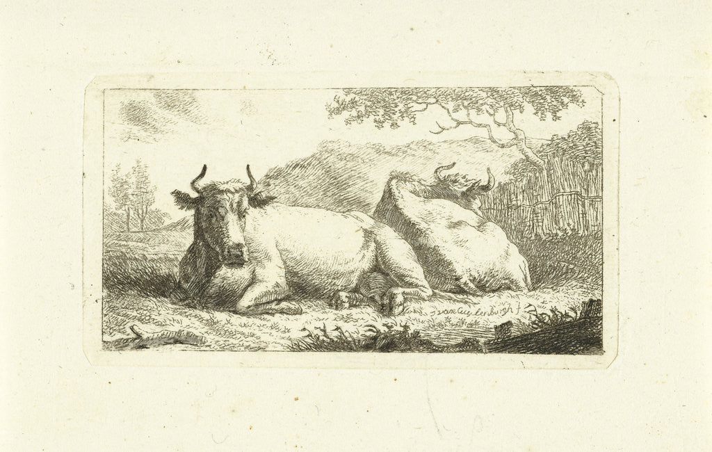 Detail of Two reclining cows by Johannes van Cuylenburgh