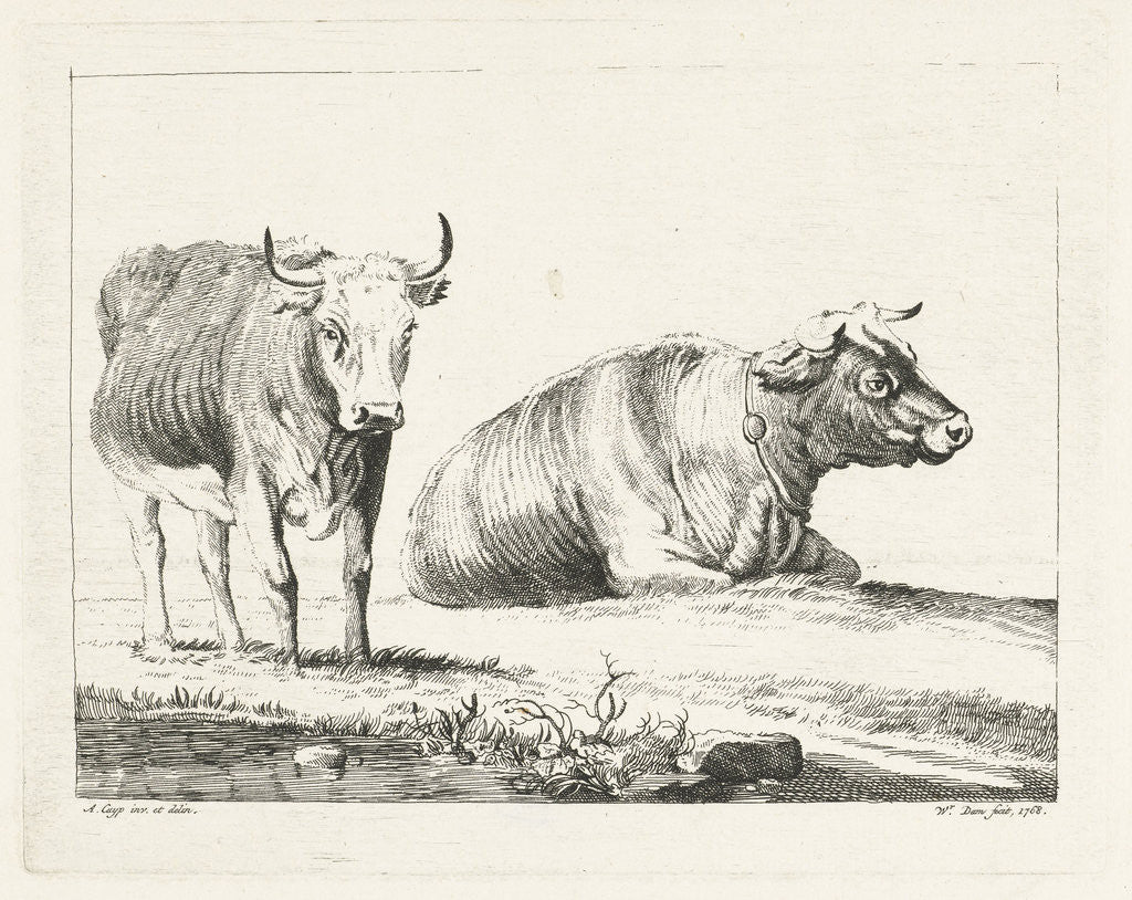 Detail of Upright and laying cow by Wouter Dam