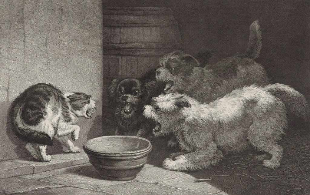 Cat and three barking dogs and a dish by J.F. Brugman