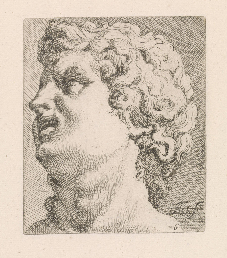 Detail of Head of one of the sons of Laocoön, side view by Augustinus Terwesten I