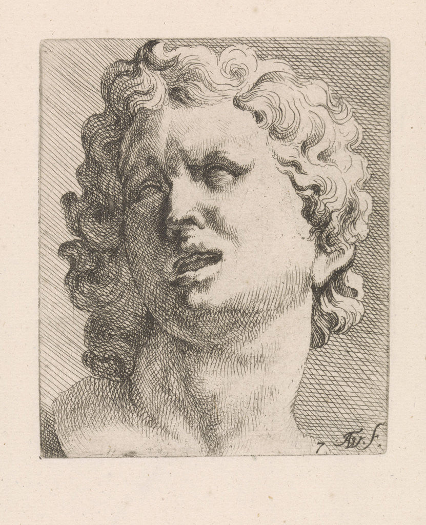 Detail of Head of one of the sons of Laocoön, front view by Augustinus Terwesten I