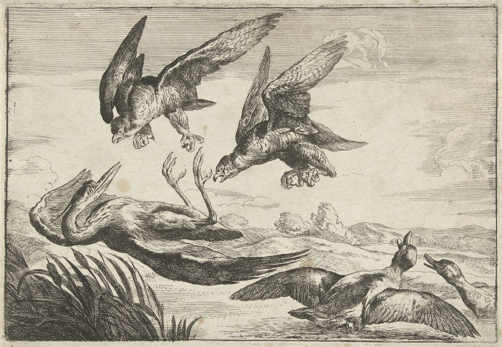 Detail of Two falcons attack a heron by Peeter Boel