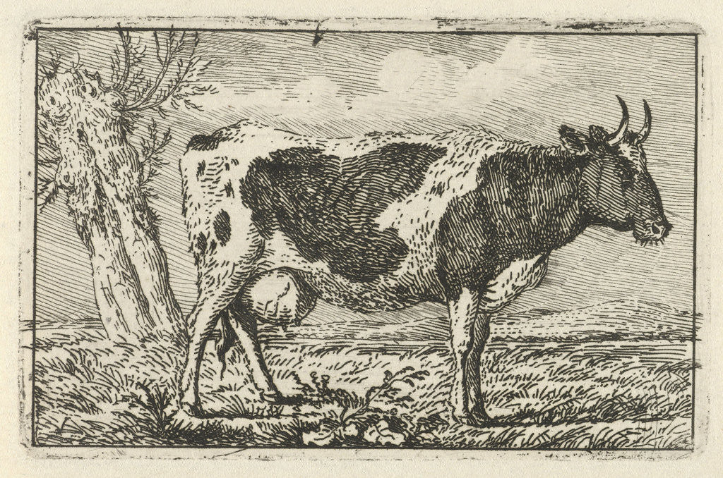 Detail of Spotted cow by Anthony Oberman