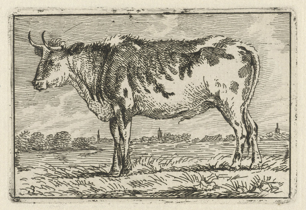 Detail of Spotted cow left by Anthony Oberman