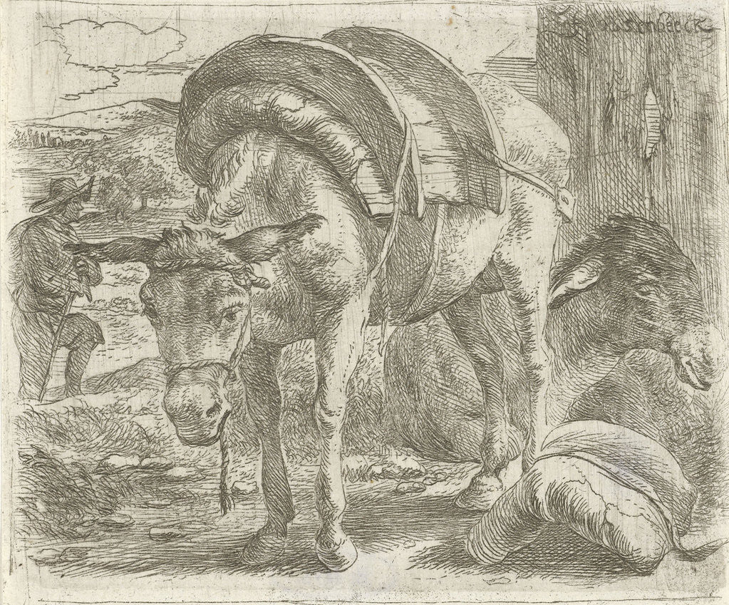 Detail of Mule by Jan van Ossenbeeck