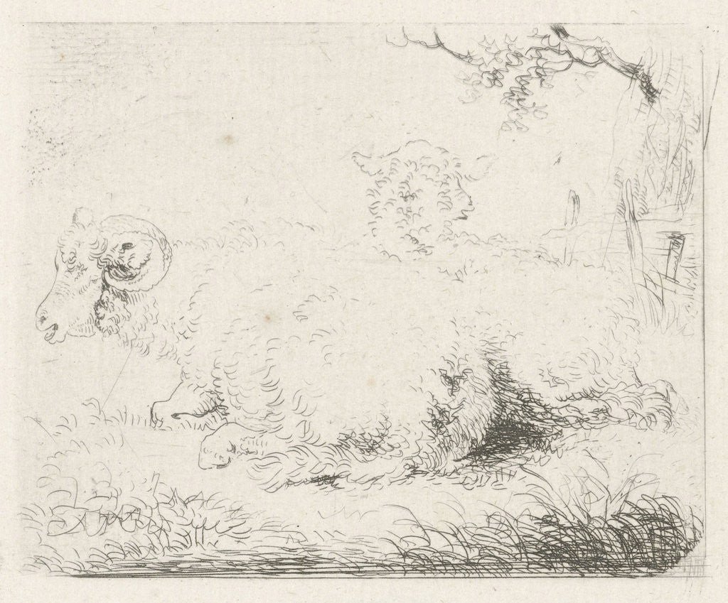 Detail of Lying sheep and ram by Pieter Gerardus van Os