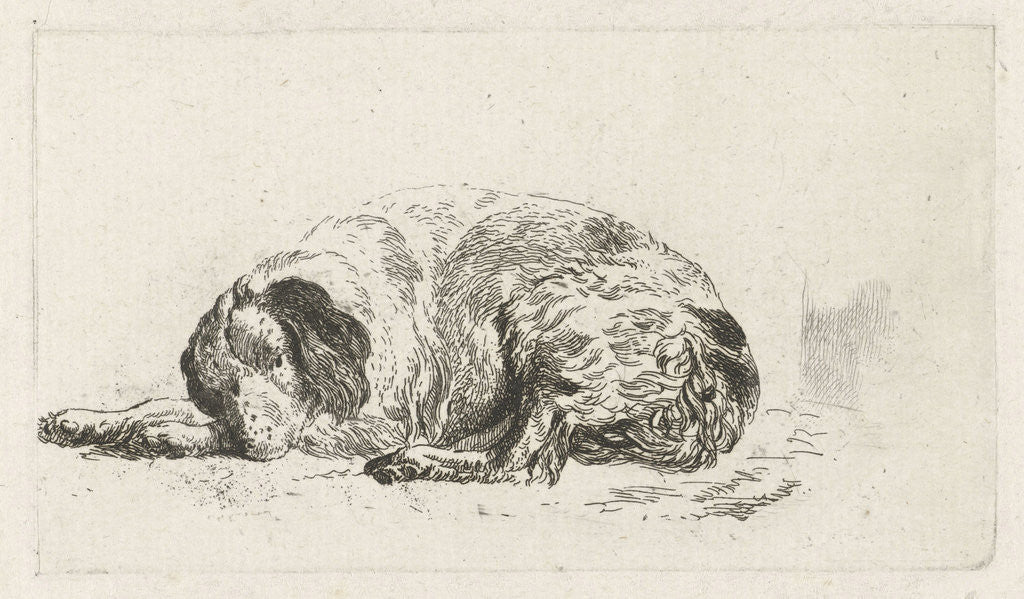 Detail of Lying dog by Pieter Gerardus van Os