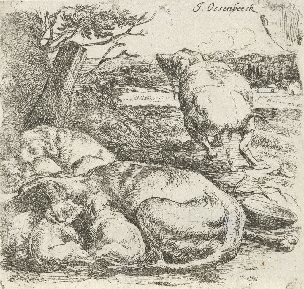 Detail of bitch with puppies by Jan van Ossenbeeck