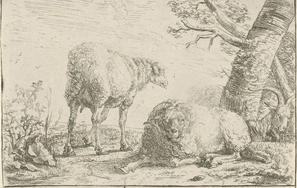 Detail of Two sheep and a goat by Barend Graat