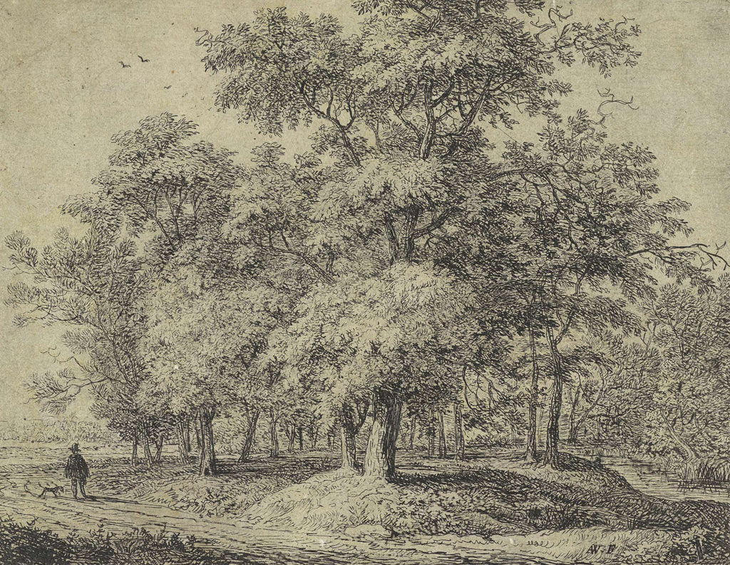 Detail of Man with a dog in a forest by Anthonie Waterloo