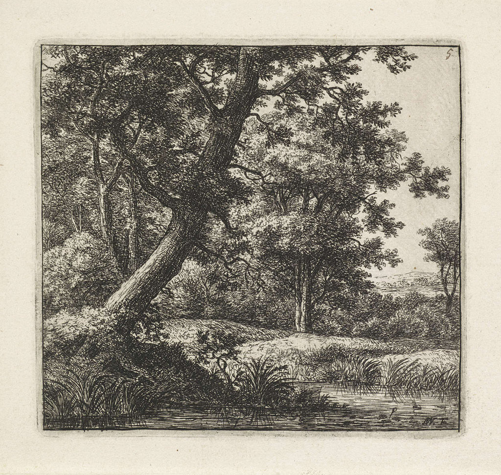 Detail of Overhanging tree by Anthonie Waterloo