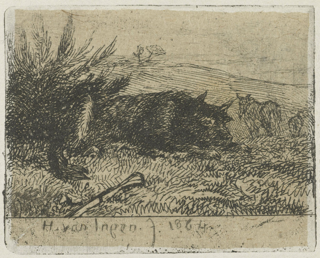 Detail of Lying sheepdog by Henry van Ingen