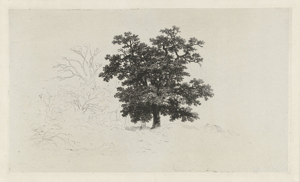 Detail of Landscape with oak tree by Remigius Adrianus Haanen