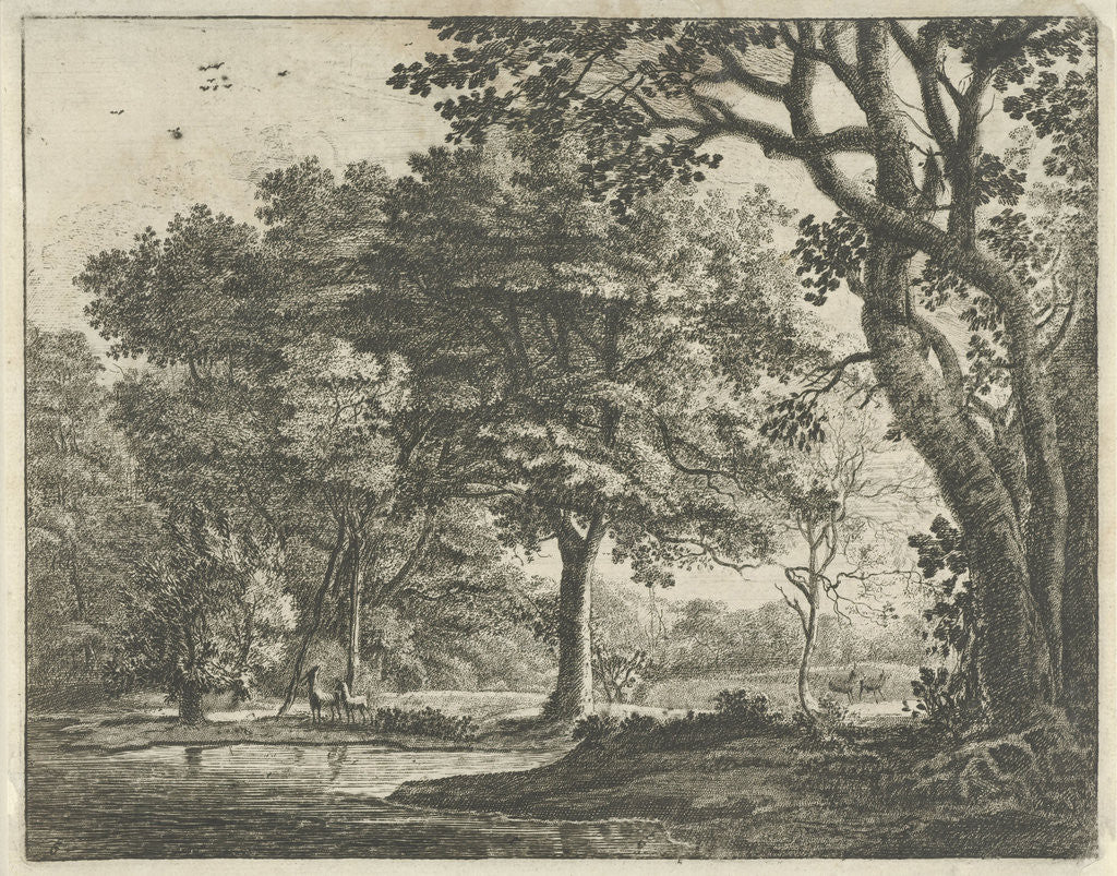 Detail of Deer in The Hague Forest by Roelant Roghman