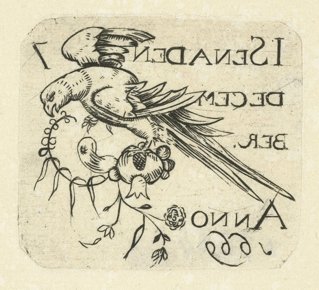 Detail of Parrot on a fruit by Anonymous
