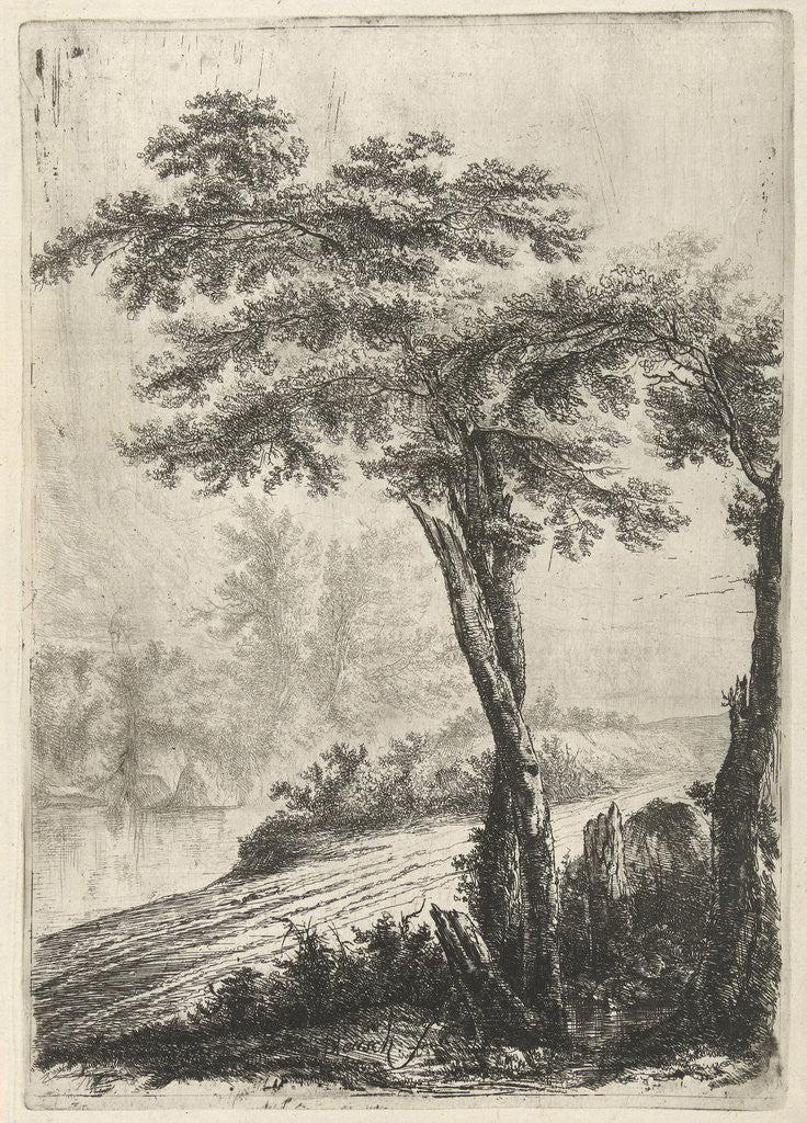 Detail of trees on the side of the road by Willem de Heusch