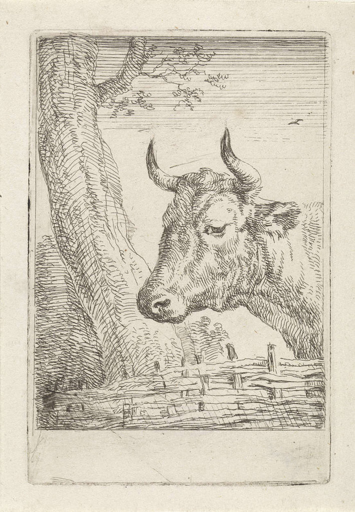 Detail of Cow at a willow fence, Aert Schouman by Paulus Potter