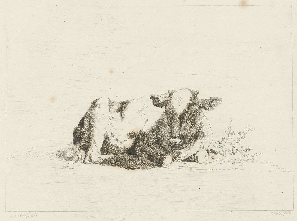 Detail of Lying cow by baron Reinierus Albertus Ludovicus van Isendoorn à Blois