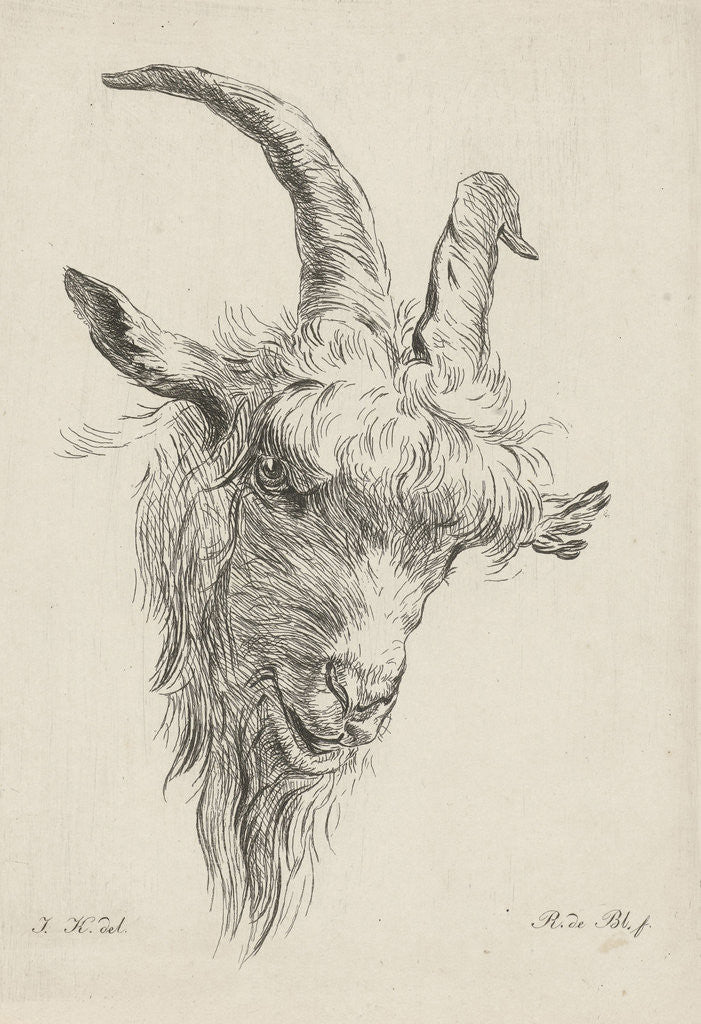 Detail of Head of a goat by baron Reinierus Albertus Ludovicus van Isendoorn à Blois