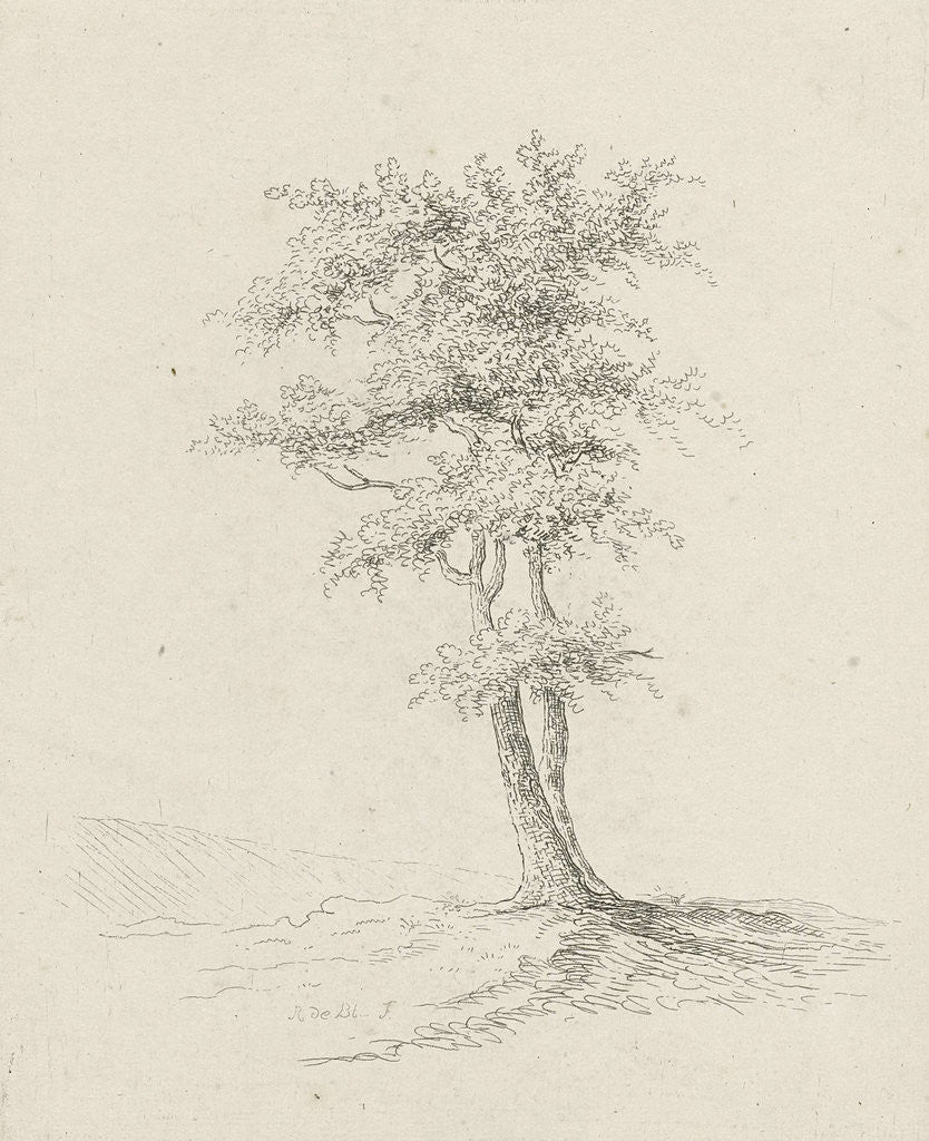 Detail of Two trees by baron Reinierus Albertus Ludovicus van Isendoorn à Blois