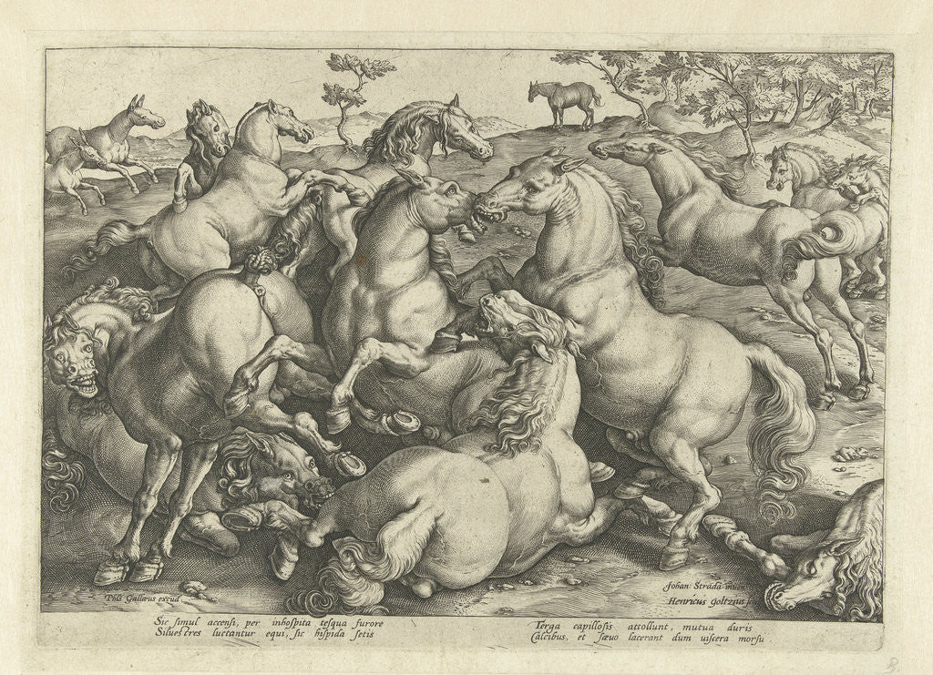 Detail of Twelve horses fighting by Philips Galle