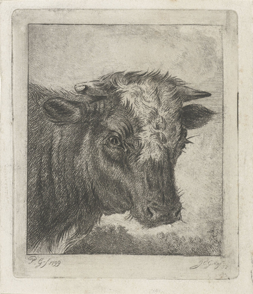 Detail of Head of a cow by Jacobus Cornelis Gaal