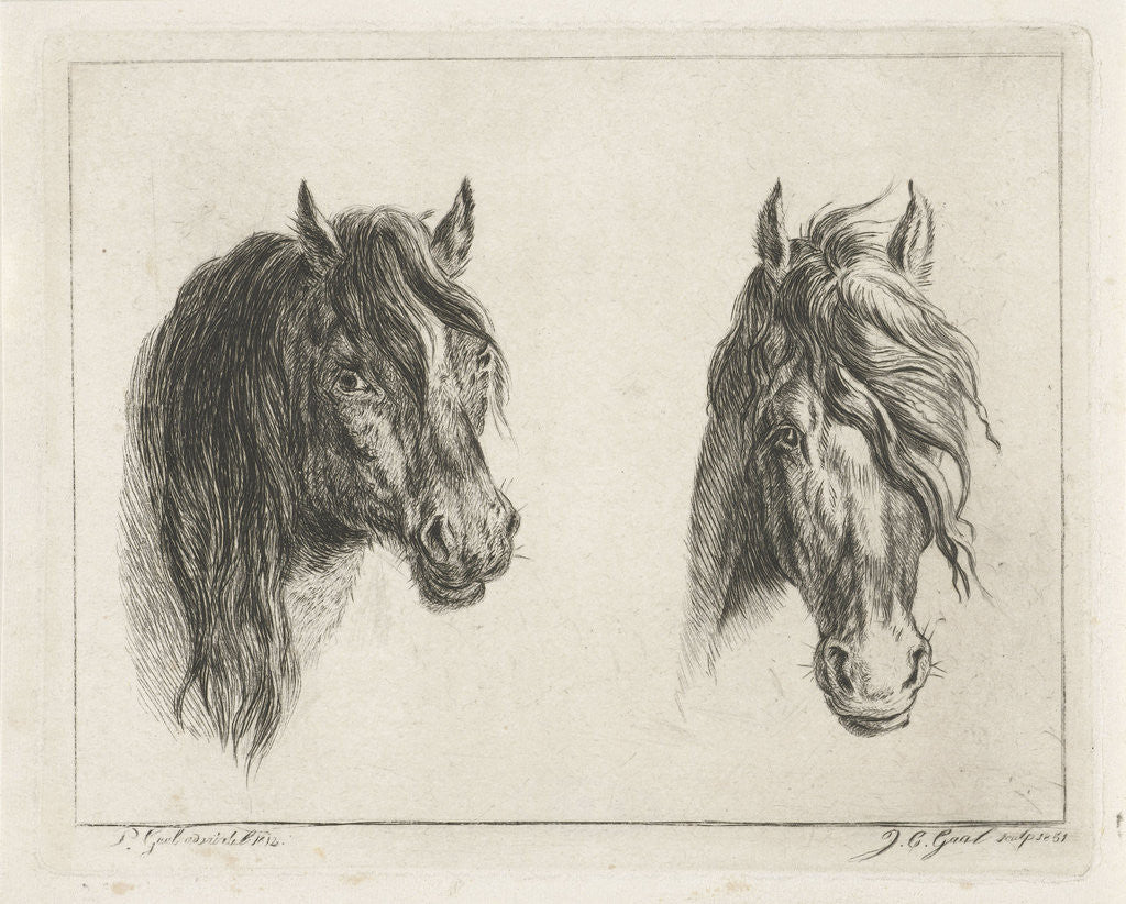 Detail of Two horse heads by Jacobus Cornelis Gaal