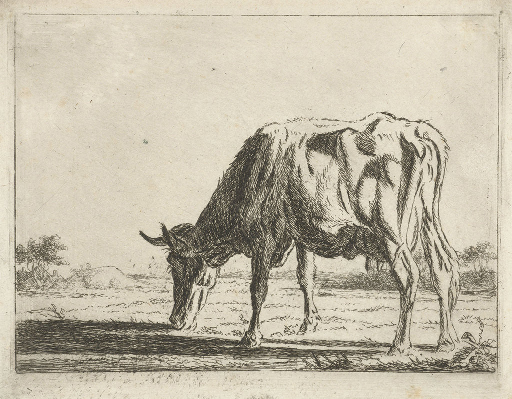 Detail of Grazing cow by Pieter Gaal