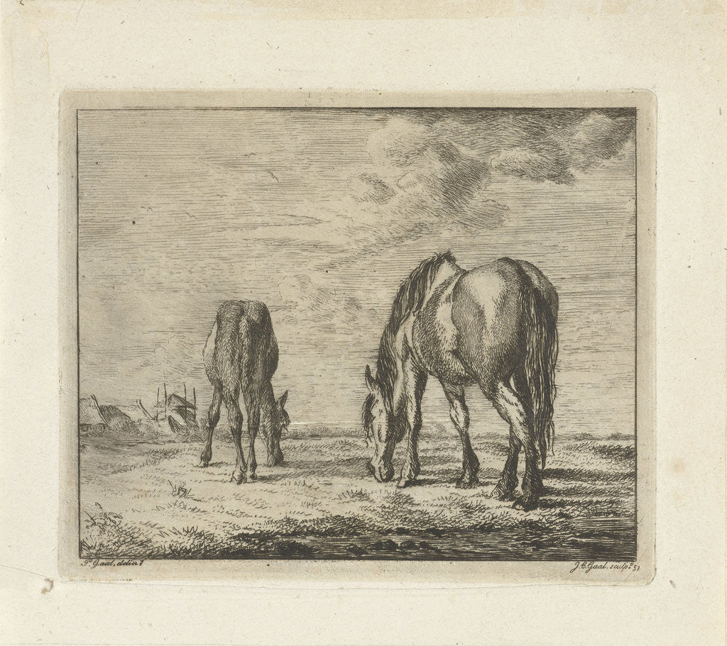 Detail of Two grazing horses by Jacobus Cornelis Gaal