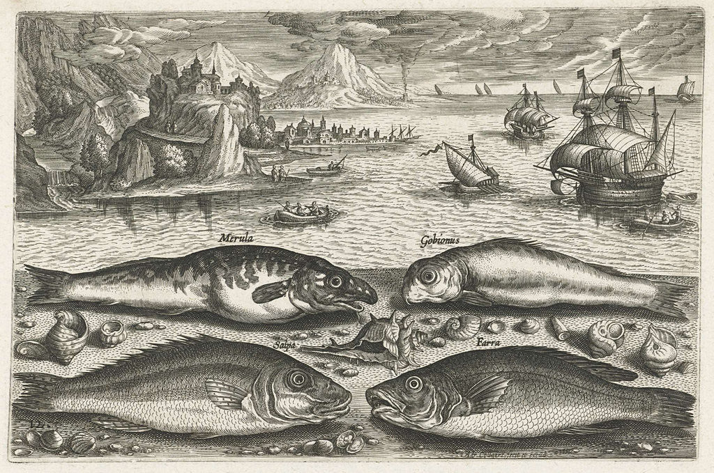 Detail of Four fish on the beach by Adriaen Collaert