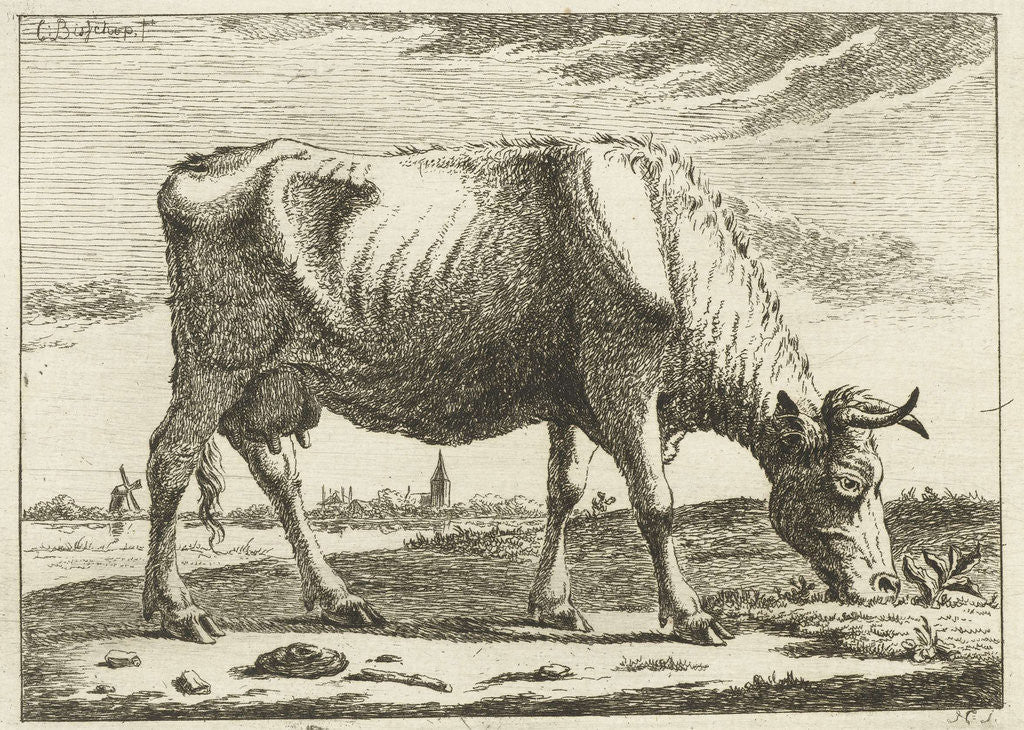 Detail of landscape with grazing cow by Cornelis Bisschop
