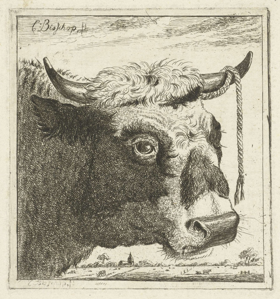 Detail of Cup bull rope hear by Cornelis Bisschop