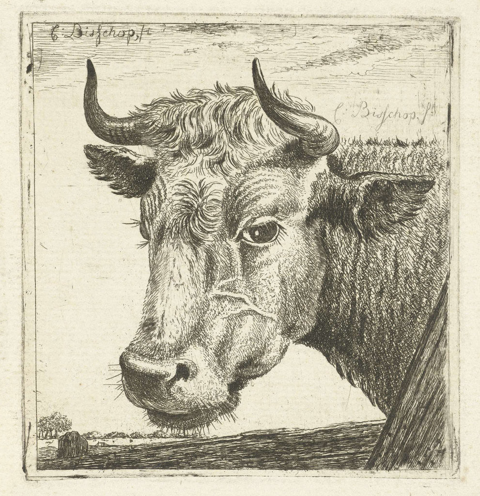 Detail of Cup cow by Cornelis Bisschop