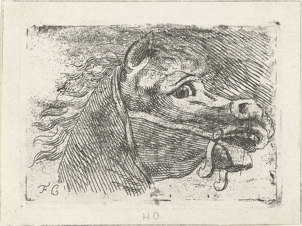 Detail of Head of a horse, right by Floris Croese