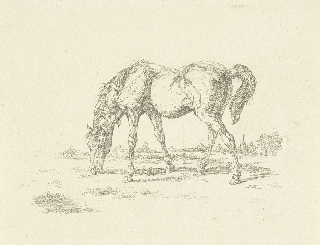 Detail of grazing horse right by Jan Dasveldt