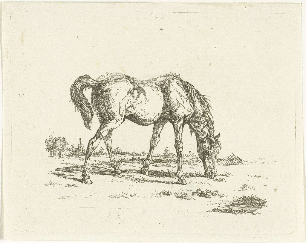 Detail of Grazing horse to right by Jan Dasveldt